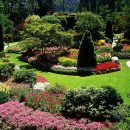 The landscaped garden